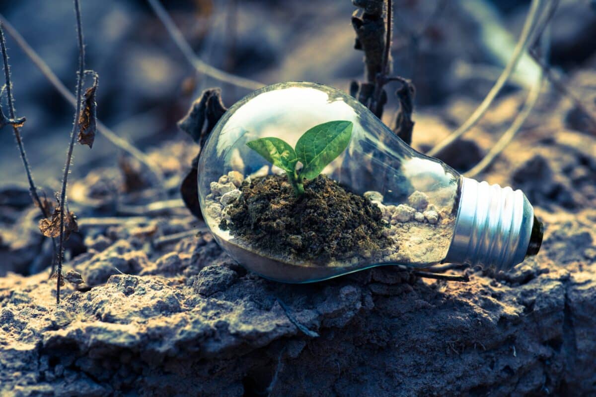Environmental